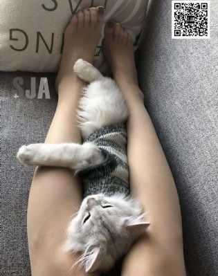 五月樱唇在线观看