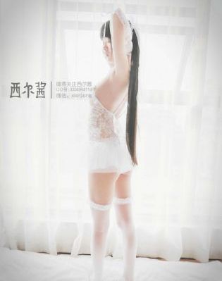明星大侦探免费版在线观看全集